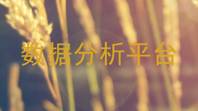数据分析平台