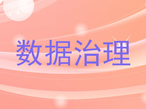 数据治理