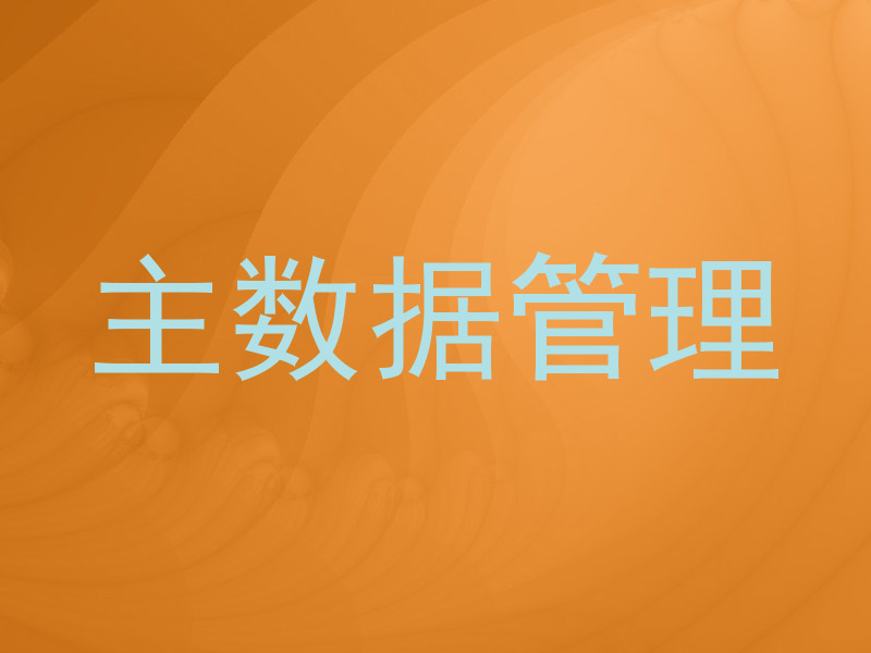 主数据管理