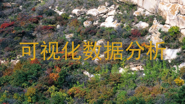 可视化数据分析