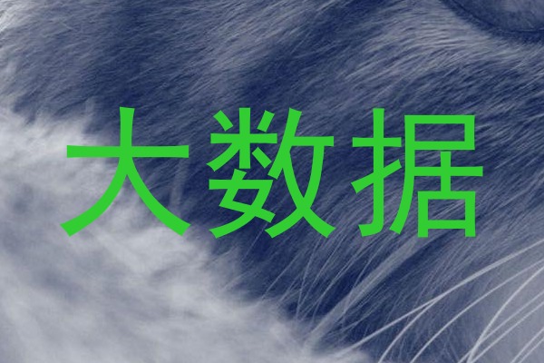 大数据