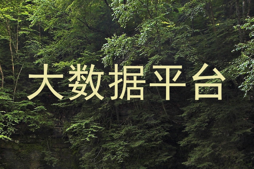 大数据平台