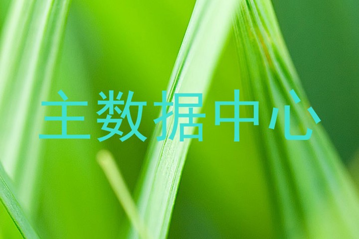 主数据中心