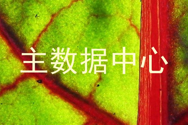 主数据中心