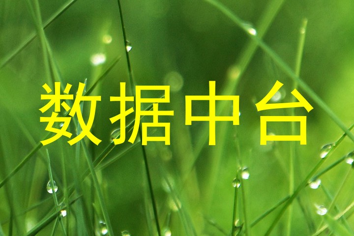 数据中台