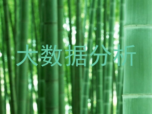 大数据分析