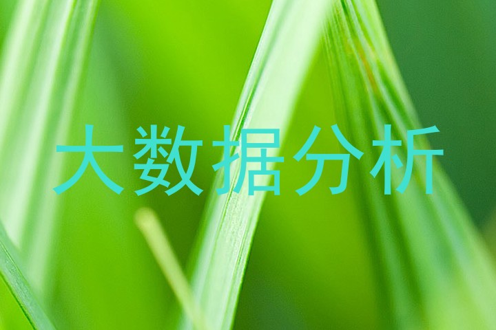 大数据分析