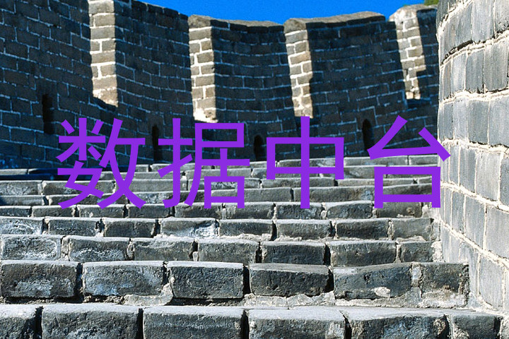 数据中台