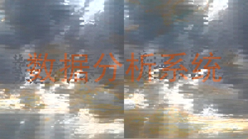数据分析系统