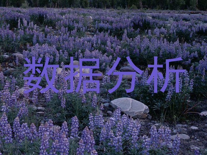 数据分析