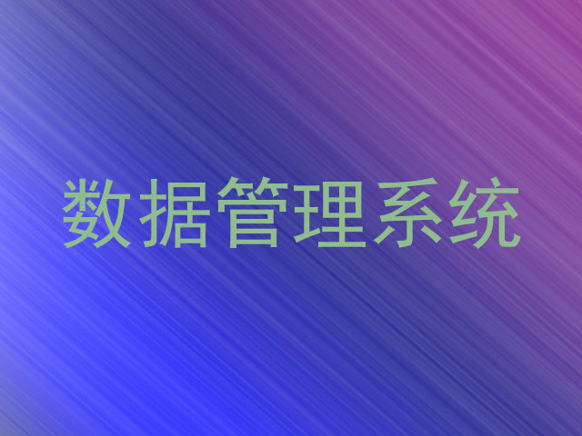 数据管理系统