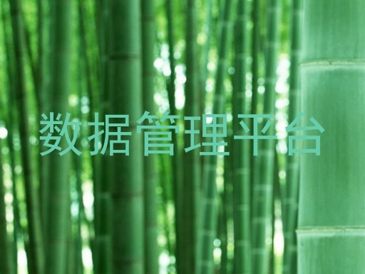 数据管理平台