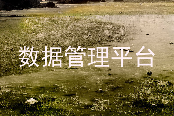 数据管理平台