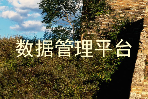 数据管理平台