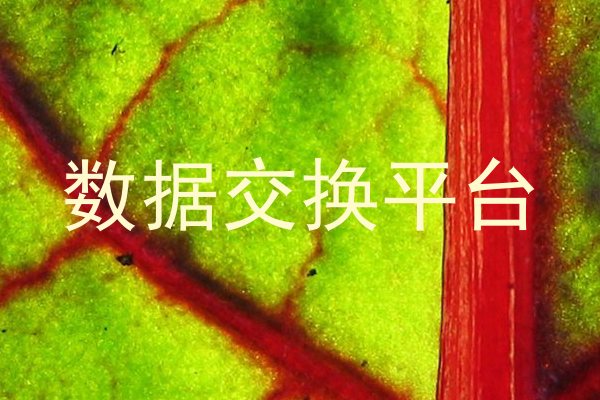 数据交换平台