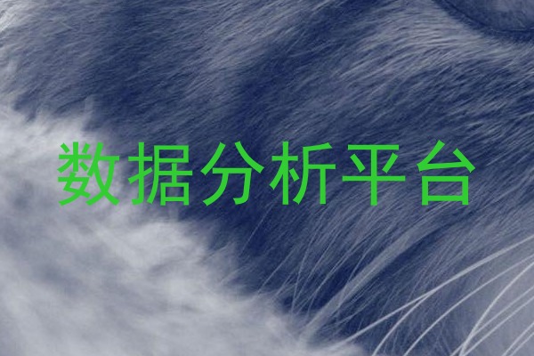 数据分析平台