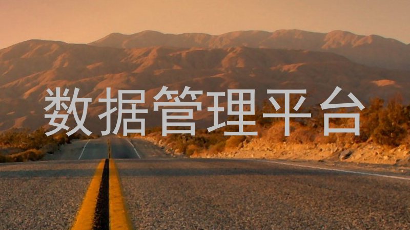 数据管理平台