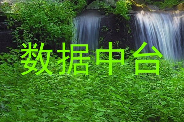 数据中台