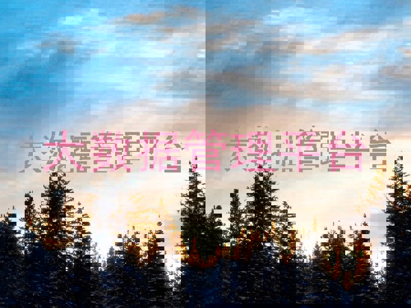 大数据管理平台