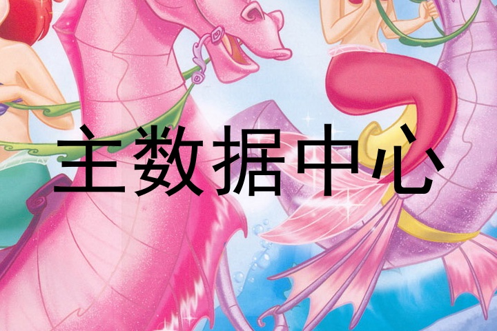 主数据中心