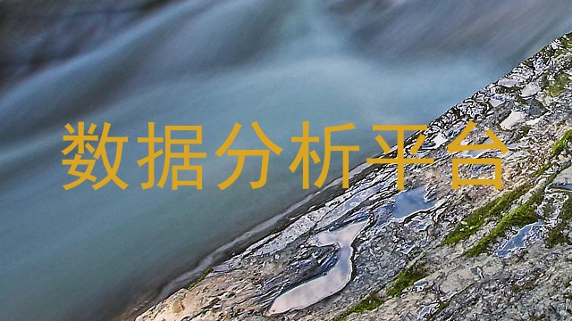 数据分析平台
