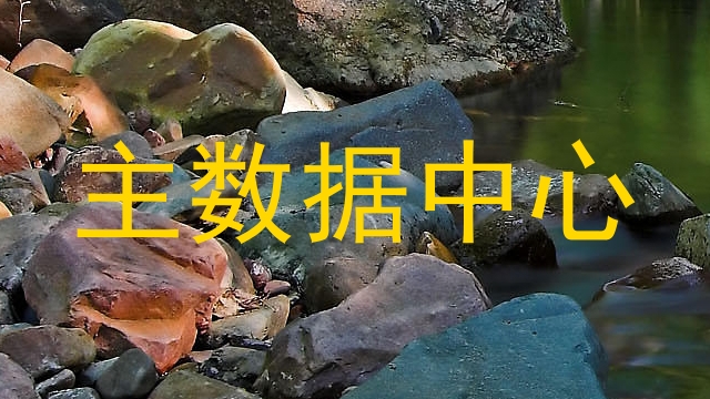主数据中心