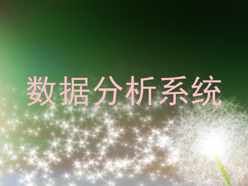 数据分析系统