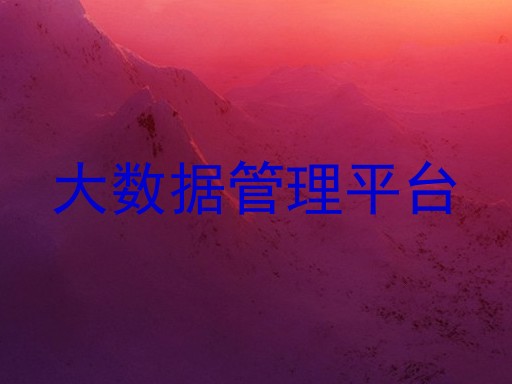 大数据管理平台