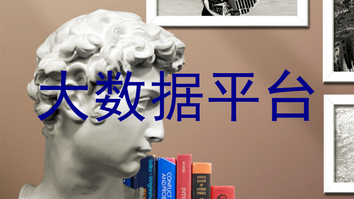 大数据平台