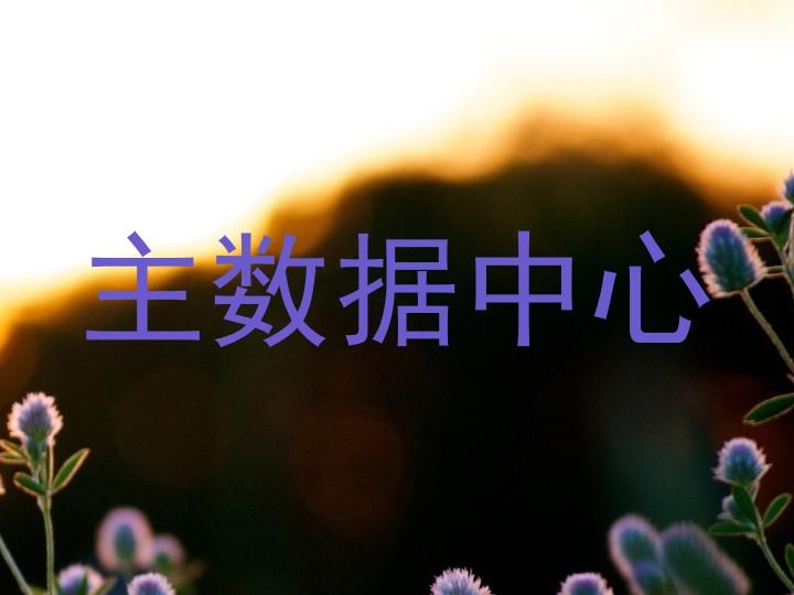 主数据中心