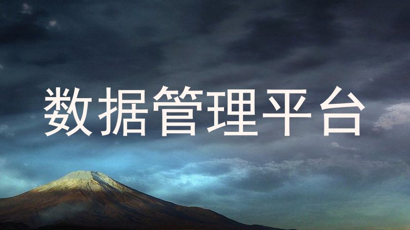 数据管理平台