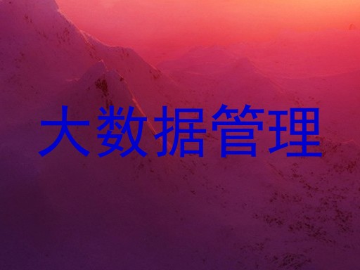 大数据管理
