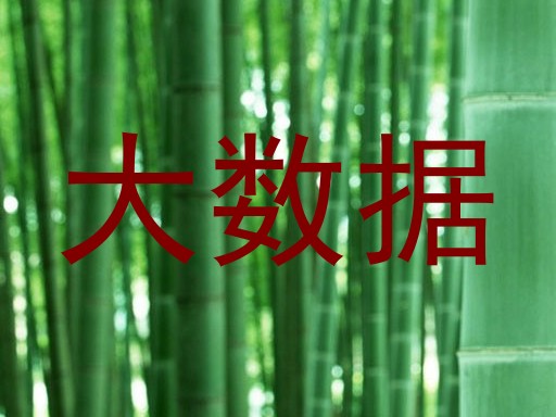 大数据