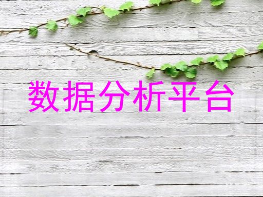 数据分析平台