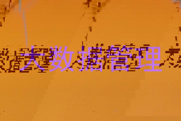 大数据管理