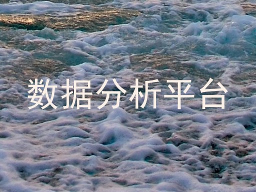 数据分析平台