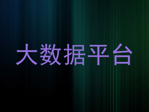 大数据平台