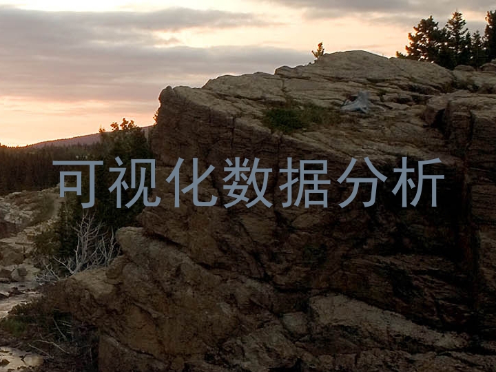 可视化数据分析