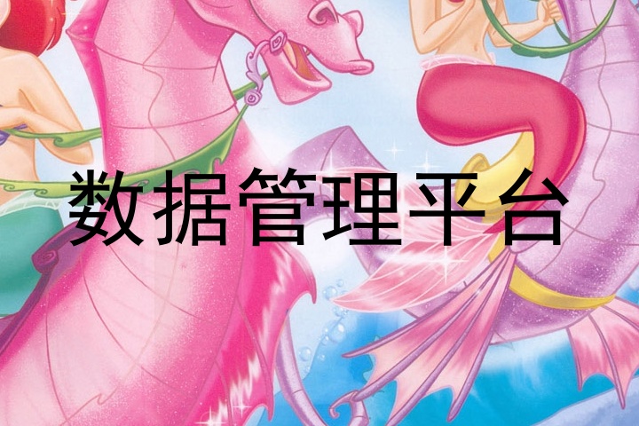 数据管理平台