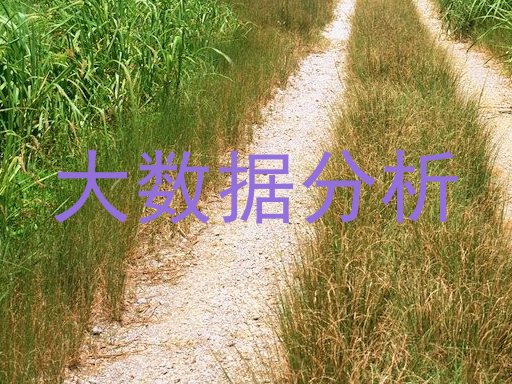 大数据分析