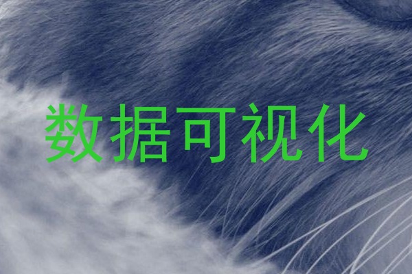 数据可视化