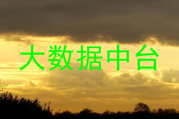 大数据中台