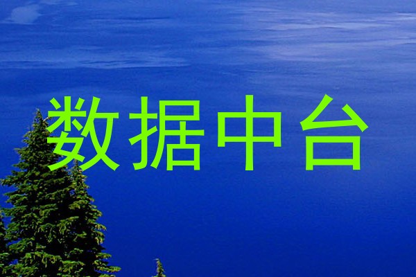 数据中台