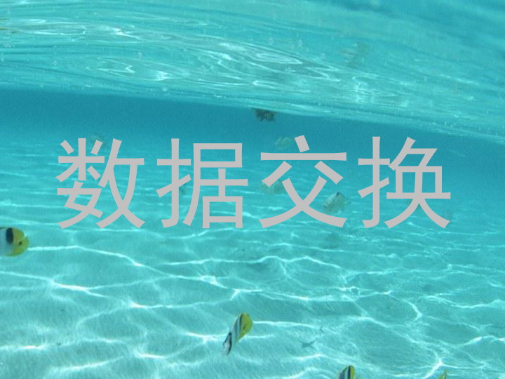 数据交换
