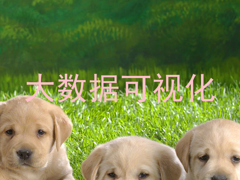 大数据可视化