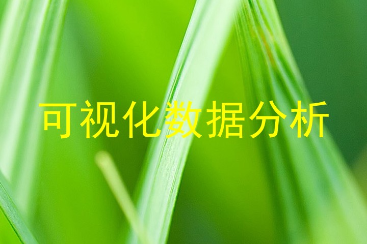 可视化数据分析