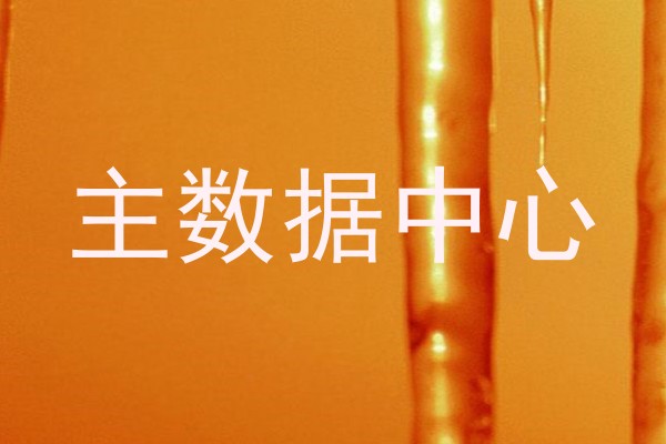 主数据中心