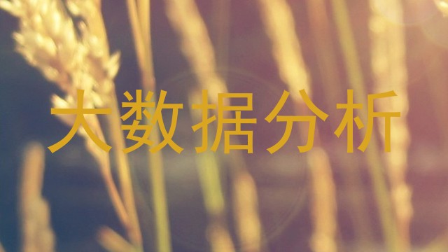 大数据分析
