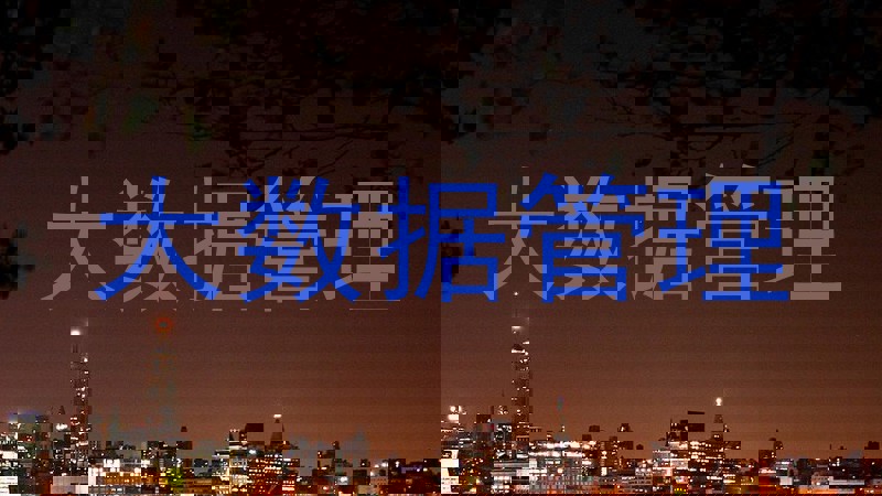 大数据管理
