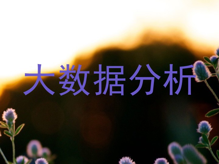 大数据分析